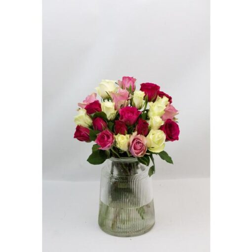 HIF Ultimate Gift Hamper - Image 6