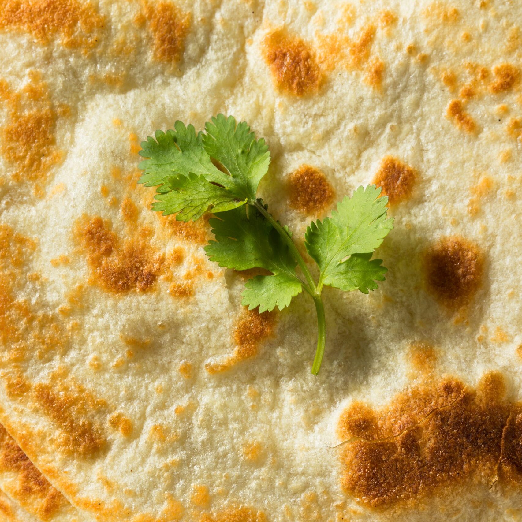 Mint (Pudina) Parantha